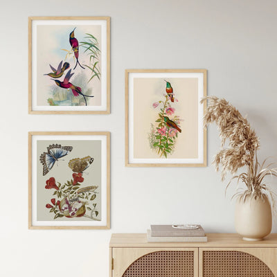 Vintage Illustration Three Piece Set -Birds and Butterflies Vintage Botanical Illustrations Triptych - I Heart Wall Art