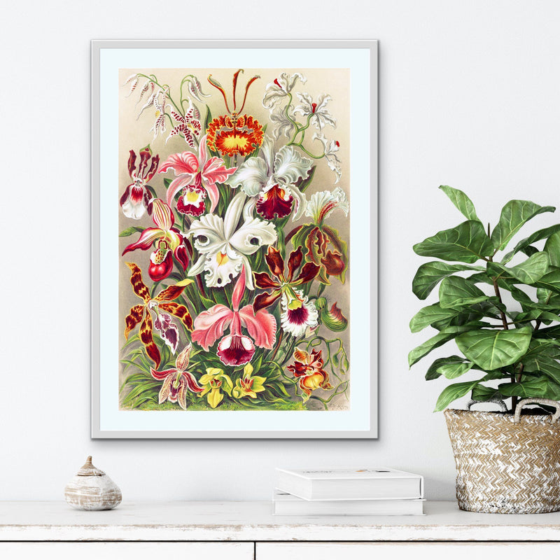 Vintage Orchid Poster - Vintage Botanical Illustration - I Heart Wall Art