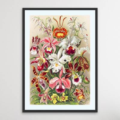 Vintage Orchid Poster - Vintage Botanical Illustration - I Heart Wall Art