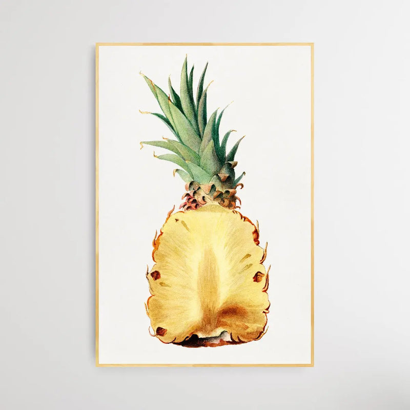 Vintage Pineapple Cut in Half - I Heart Wall Art