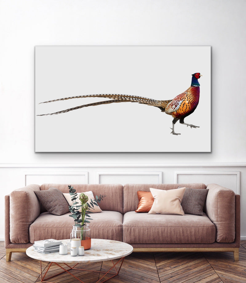 Wandering Pheasant - Framed Canvas Print Wall Art Print - I Heart Wall Art
