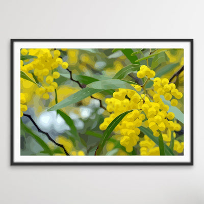 Wattle - Australian Yellow Native Flower Canvas or Art Print - I Heart Wall Art