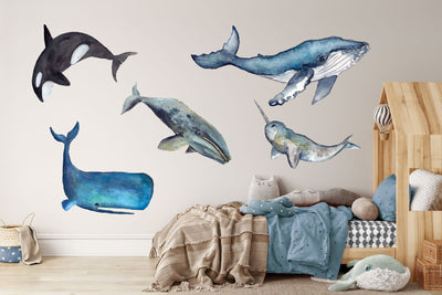 Whales Of The Oceans - Five Piece Whale Watercolour Decal Print Set I Heart Wall Art Australia 