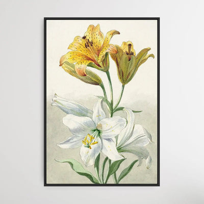 Yellow and White Lilies by William van Leen - I Heart Wall Art
