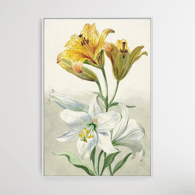 Yellow and White Lilies by William van Leen - I Heart Wall Art