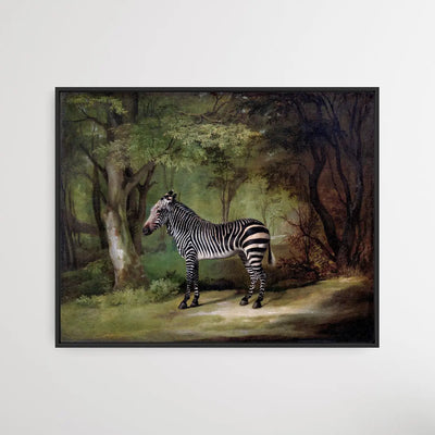 Zebra (1763) by George Stubbs I Heart Wall Art Australia 
