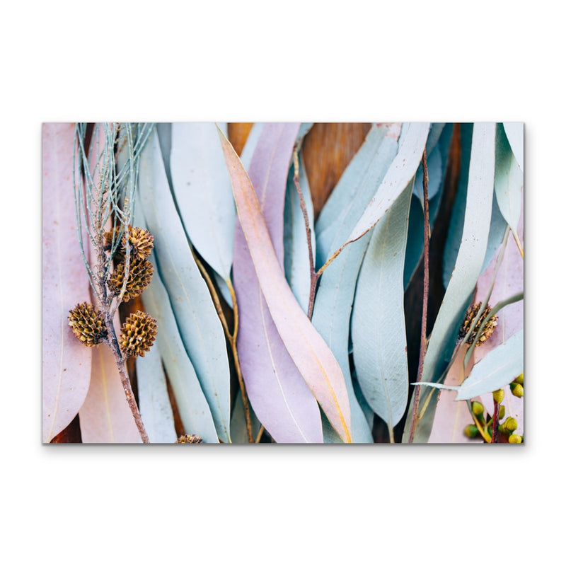 Gum Leaves -  Original Pastel Coloured Eucalyptus Gum Leaf Photographic Canvas or Art Print I Heart Wall Art Australia 