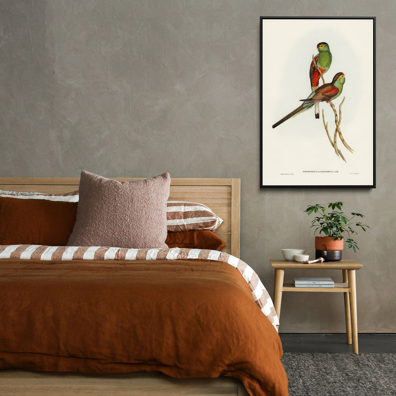 Beautiful Parakeet (Psephotus pulcherrimus) illustrated by Elizabeth Gould (1804–1841) - Stretched Canvas Print or Framed Fine Art Print - Artwork I Heart Wall Art Australia 