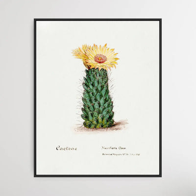 Beehive cactus - I Heart Wall Art - Poster Print, Canvas Print or Framed Art Print