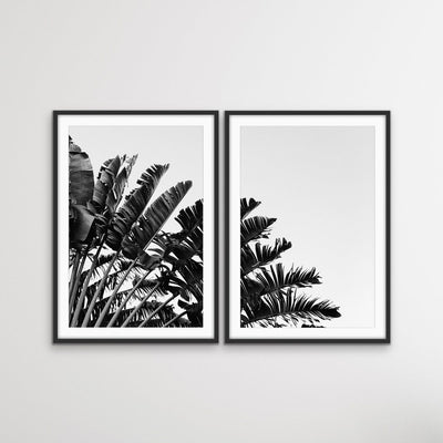 Black and White Banana Palm - Two Piece Boho Banana Palm Print Set Diptych - I Heart Wall Art - Poster Print, Canvas Print or Framed Art Print
