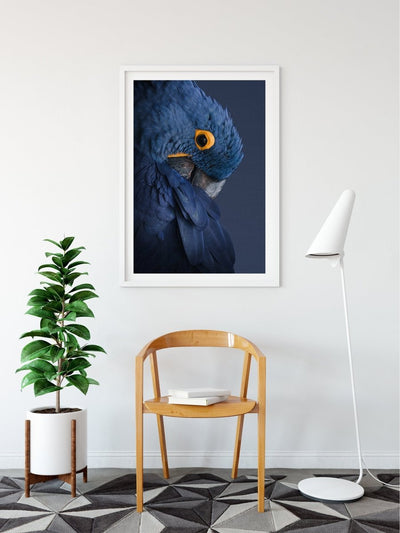 Blue Parrot - Art Print Stretched Canvas Wall Art - I Heart Wall Art - Poster Print, Canvas Print or Framed Art Print